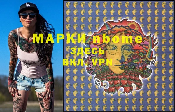 индика Нягань