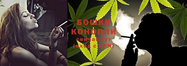 индика Нягань