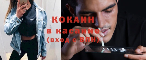 трава Няндома