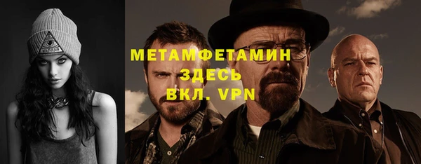 трава Няндома