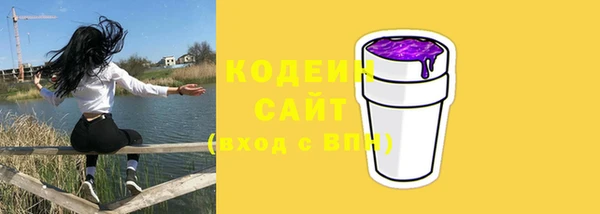 индика Нягань
