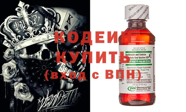 трава Няндома