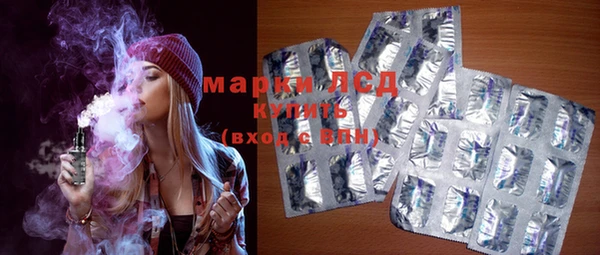 индика Нягань