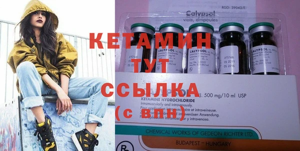 индика Нягань
