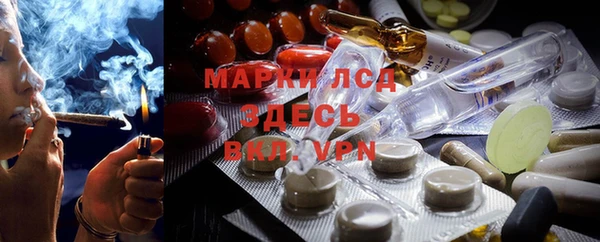 индика Нягань