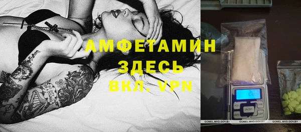 индика Нягань