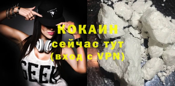 индика Нягань