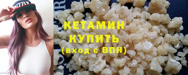 индика Нягань