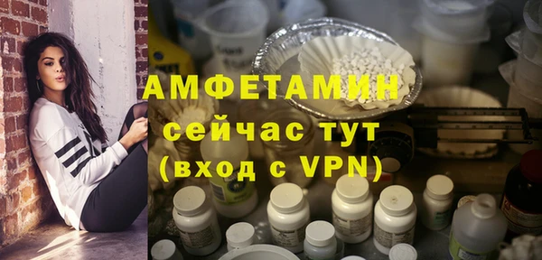 трава Няндома