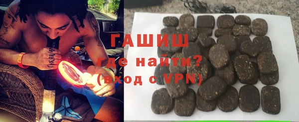 индика Нягань