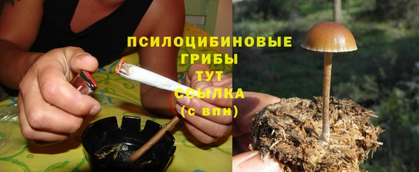 ALPHA PVP Нязепетровск