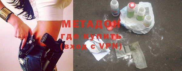 индика Нягань